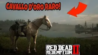 RED DEAD REDEMPTION 2 - CAVALLO D'ORO RARO! ECCO COME OTTENERLO - [ITA] - RARE GOLD HORSE !
