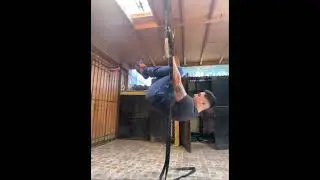 Negativa de Tuck Front Lever