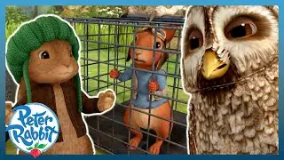 @OfficialPeterRabbit - 🔐🐿 Can We Save Nutkin!? 🐿🔐  | Cartoons for Kids