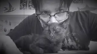  Jack ( cat video)- Vultures Emporium 