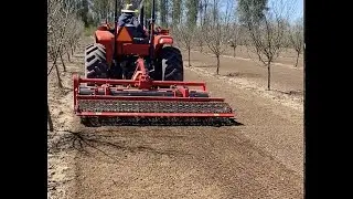 Hazelnut orchard management with soil cultivator.