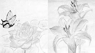 Flowers (Lily & Lotus🦋) Sketches 🌺 Vlogify True Tales is live! Viral video