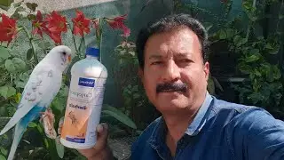 calcium & minerals syrup for budgies | australian parrots breeding formula