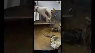 Ultra‑Fresh Stir‑Fried Large Blue Crab | Incredible Wok Skills & Seafood Flavor! #allyoucaneat
