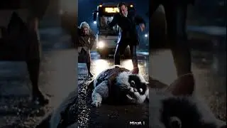 The Cat Who Stopped the Bus 😿#ShortFilm #EmotionalStory #CatHero #TrueHero