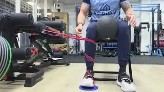 Tibia Internal Rotation Resisted