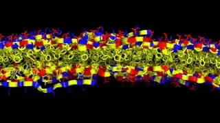 Peptoid nanosheet atomic structure tour