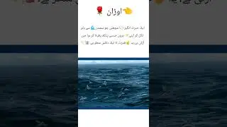Flying Fish Gliding Over the Ocean 🌊🎏#wildlife #viralvideo #trending # short video