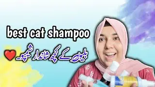 Best shampoo for Cats & kittens || Hairfall soultion || Fleas Treatment || Fungal infection