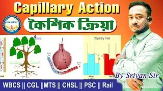 CAPILLARY ACTION in Bengali || কৈশিক ক্রিয়া || Physics by Sriyan sir