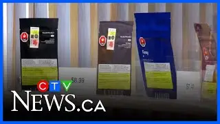 P.A. woman wants city to lift limit on cannabis shops