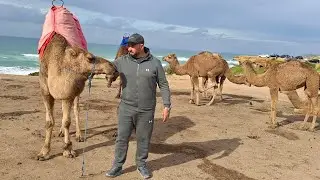 فرجة ممتعة من مدينة طنجة