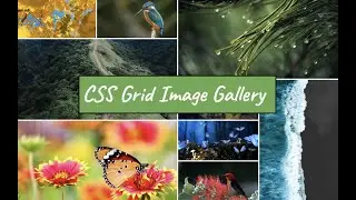 CSS Grid Image Gallery