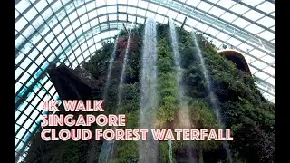 4K Nature Walk : Breathtaking Indoor Waterfall Cloud Forest Virtual Tour / Singapore Walk 187