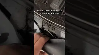 How to clean mold from washing machine rubber