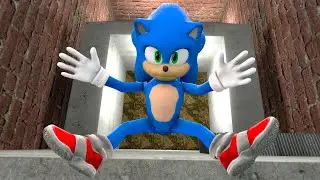 Sonic Ragdoll Physics: The Best Epic NPC Falls! Episode 46