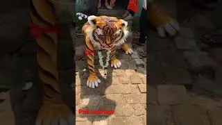 puli veshalu