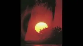 [FREE] Rels B Type Beat - 