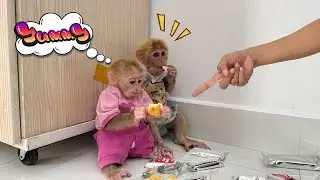 Lucky and Sunny&rsquo;s surprising reaction when Mom caught them sneaking food