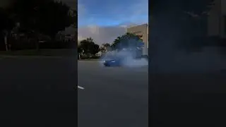 BMW DRAFT