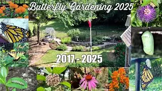 Butterfly Gardening 2025 Finale