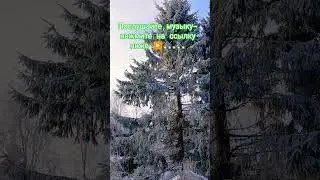 ❄️Зима 🌞Февраль ☃️