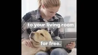 Online Math Learning for Free