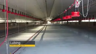Bâtiment volaille 1700 m2