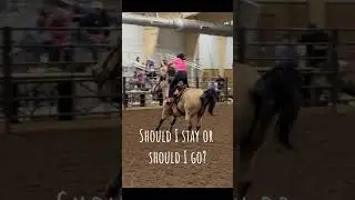 #stayorgo #horses #foryou #viral #falling #fyp #equestrian #equine #blowup #gettinghurt #foryoupage
