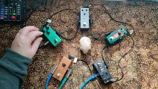 #feedbackuary ... A Heart Full of Flowers and Bees ... [Budget Pedals]