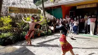 Courtship Dance