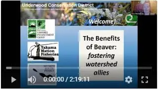The Benefits of Beaver