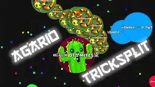 AGARIO ★ #FLYSKINPRO ★ REVERSE TRICKSPLIT?