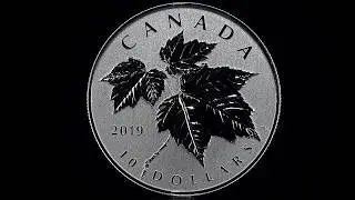 1/2 oz. Pure Silver Coin - The 2019 Maple Leaf Coin