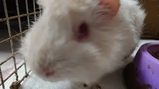 吃午餐