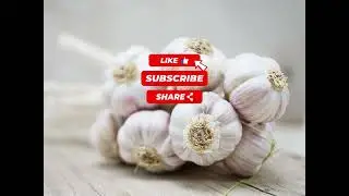The Power of Garlic