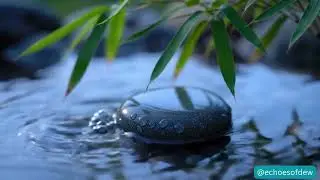 Deep Work Flow | Zen Garden ASMR for Extreme Focus & Study | Relaxation | Concentration