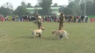 Dog's Demo show//Passing Out Parade CISF