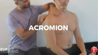 PALPATION : Acromion