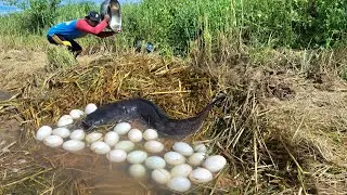 Unique Fishing, catch a lot of fish in pool at rice field by best hand a smart fisherman