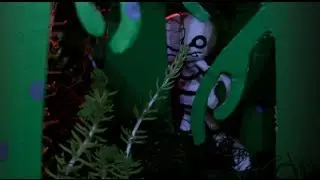 Stop motion Creature, Television Identity