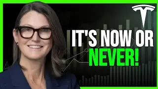 TESLA will Cross $500 by CHRISTMAS: Cathie Wood