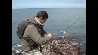 PECHE PLOUGASNOU 2/2