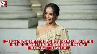 Zoe Kravitz and Lisa Bonet lost snake in Taylor Swift's house