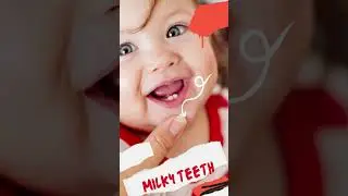 HUMAN TEETH FACTS #shorts #short  #facts #interestingfacts #funfacts #teeth  #humanteeth  #humanbody