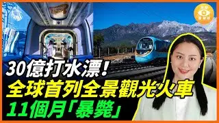 30億打水漂！30億打造的全球首例麗江全景觀光火車不到1年慘賠停運！客流量不如奶茶店……