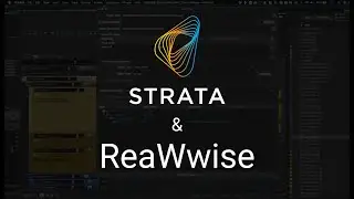 Strata and ReaWwise