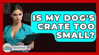 Is My Dog's Crate Too Small? - Ask A Pet Vet