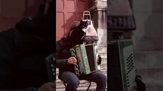 A street musician with a cat on an accordion, in Montmartre, Paris today #parisianstreets #paris