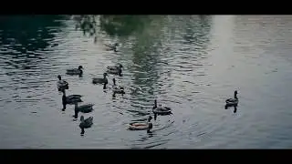 MARCUS - Сеньо СЕНЬОРИТА (Remix) / #Cover